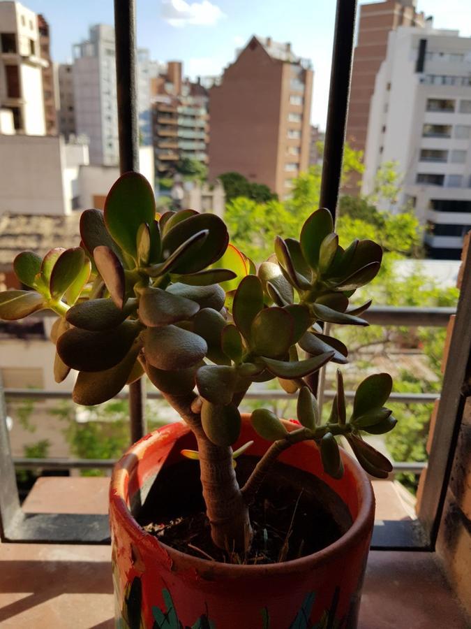 Apartamento Carlucci Córdoba Eksteriør billede